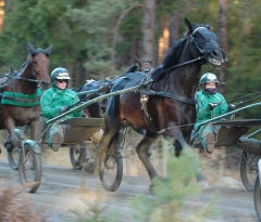 Uncertain When 151110-9